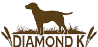 Training-Diamond K Kennels