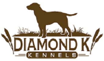Our Dogs-Diamond K Kennels